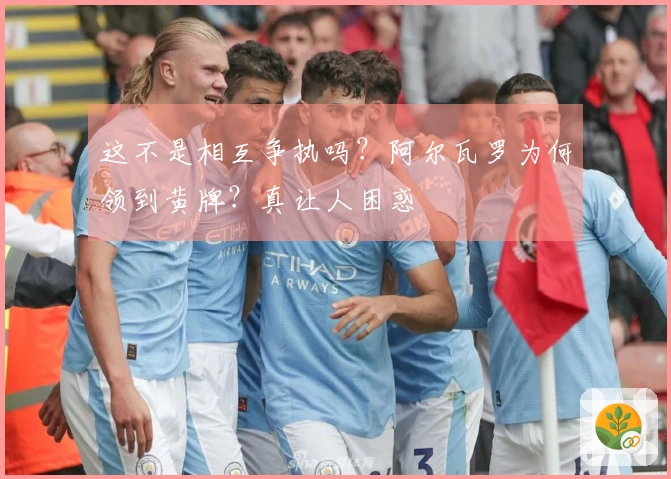 这不是相互争执吗？阿尔瓦罗为何领到黄牌？真让人困惑