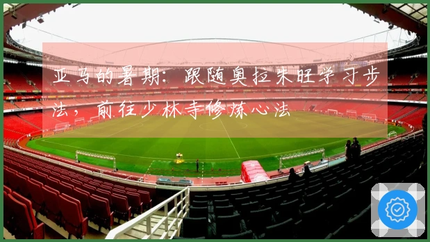 亚马的暑期：跟随奥拉朱旺学习步法，前往少林寺修炼心法