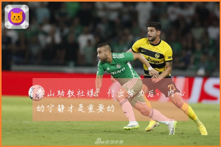 泰山助教社媒：付出努力后，内心的宁静才是重要的